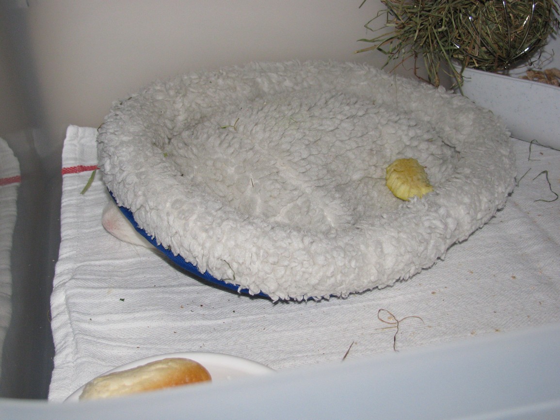 foto 001.jpg