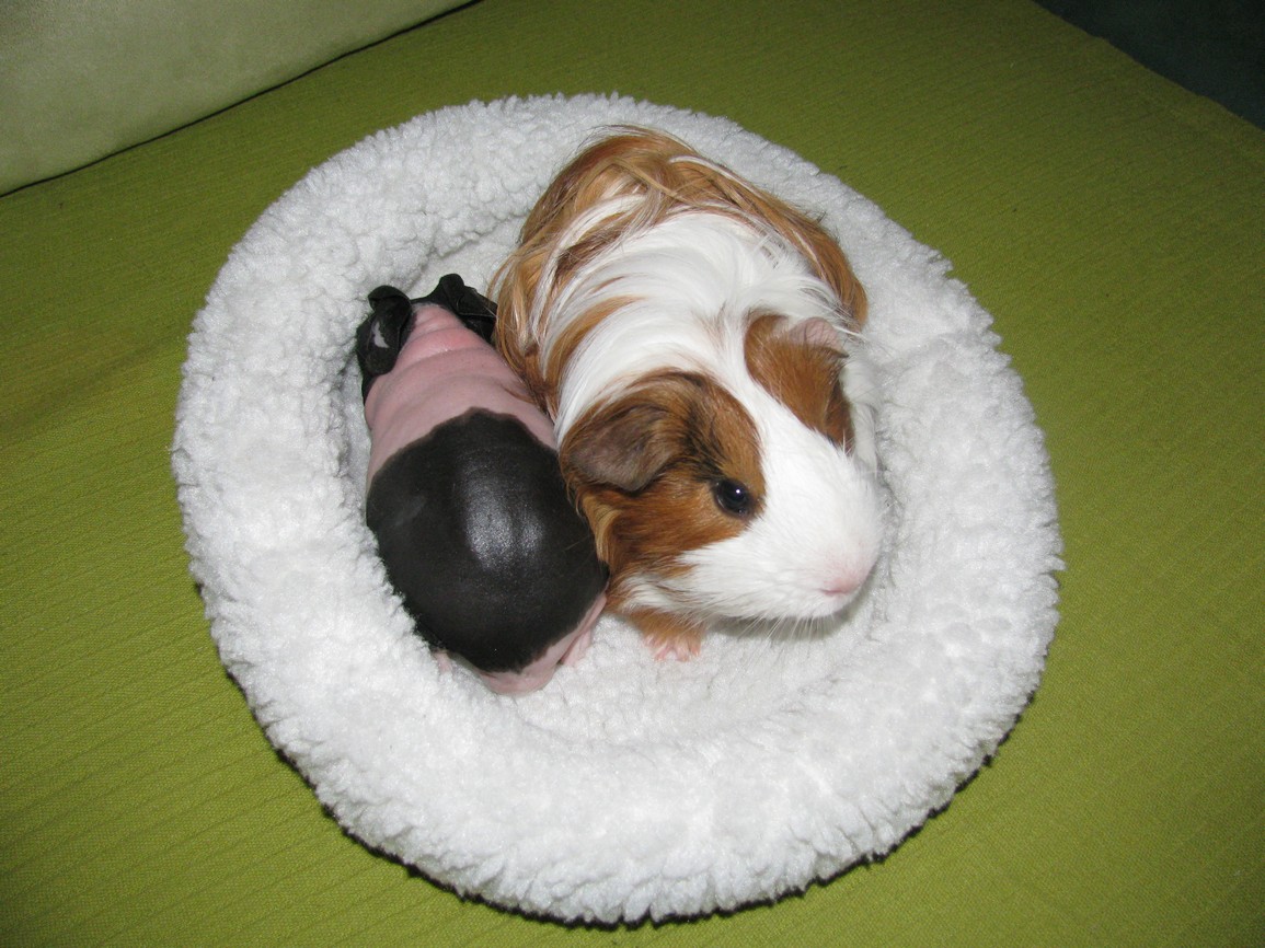 foto 009.jpg