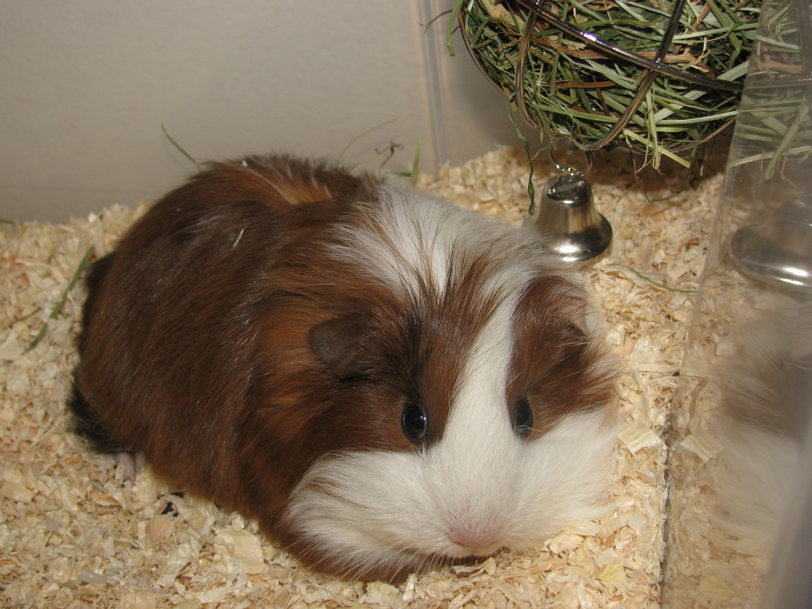 foto 007.jpg