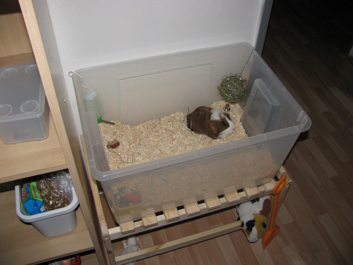 foto 009.jpg