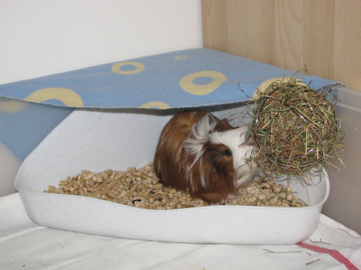foto 043.jpg